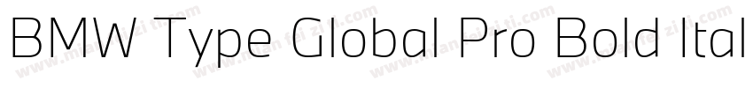 BMW Type Global Pro Bold Italic字体转换